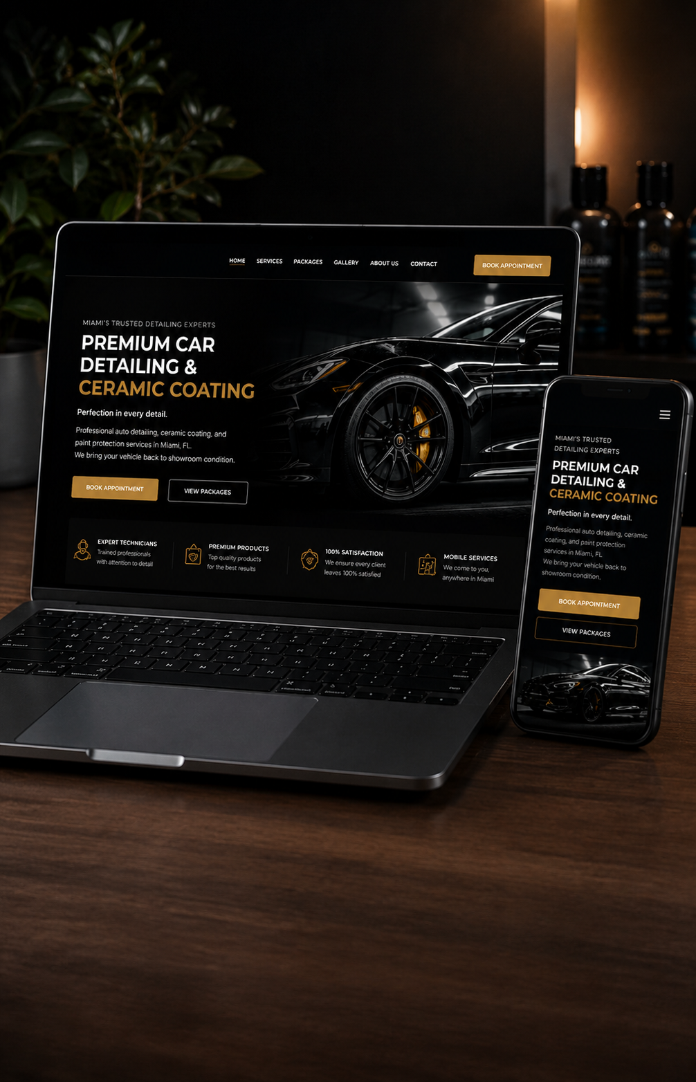 About Ahmed Web Designer professional website design services